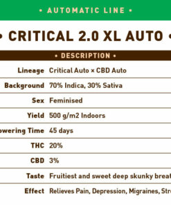Critical 2.0 XL Auto