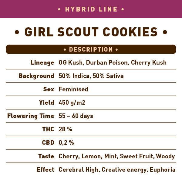 Hybrid Girl Scout Cookies back 2