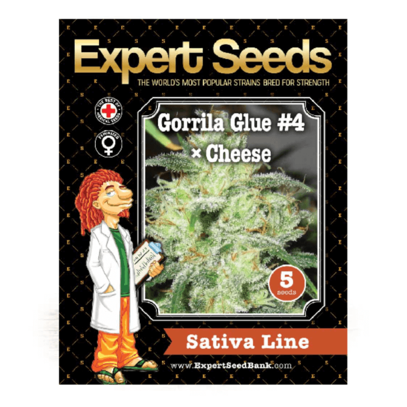 Gorilla Glue Auto strain GOG Seeds Bank