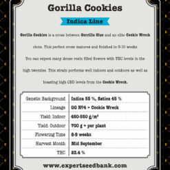 Gorilla Cookies back 1