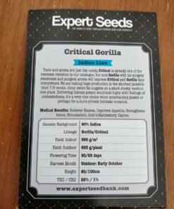 Gorilla Critical Expert Seeds Pack Size 2 -
