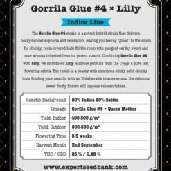 GorrillaGlue4 Lilly back 1