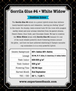 GorrillaGlue4 WhiteWidow back 1