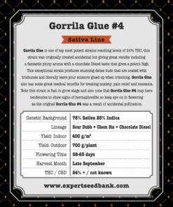 GorrillaGlue4 back 1