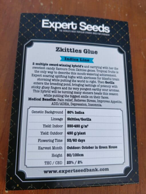 Zkittlez Glue Expert Seeds