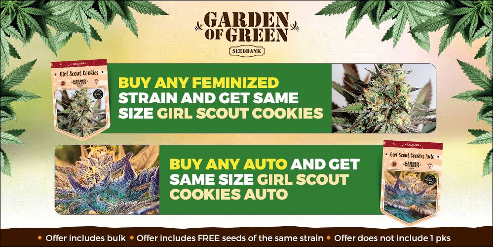 Homepage 1 GOG dskp