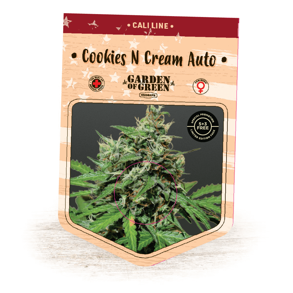 Cookies N Cream Auto Girl Scout Cookies Auto x Cream Caramel Auto Cannabis Seeds Garden of Green 1