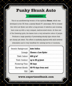 Funky Skunk Auto back 1
