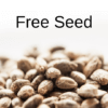 Free Seed Garden Of Green