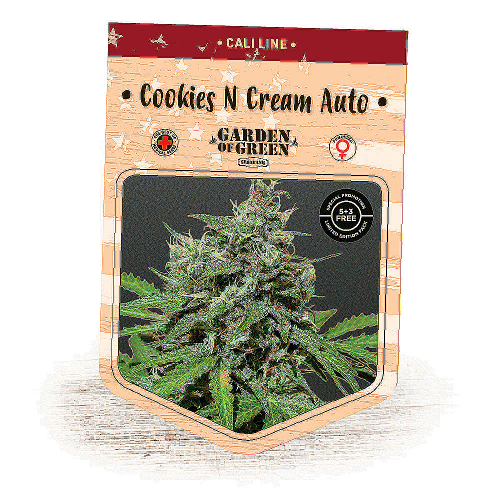 Cookies N Cream Auto Seeds