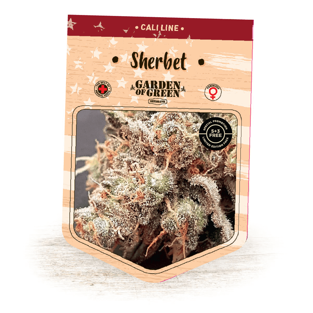 Sherbet Seeds