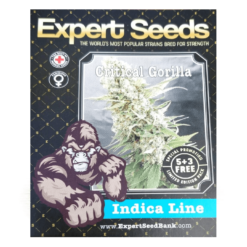 Critical Gorilla Seeds