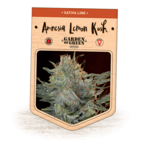 Amnesia Lemon Kush Seeds