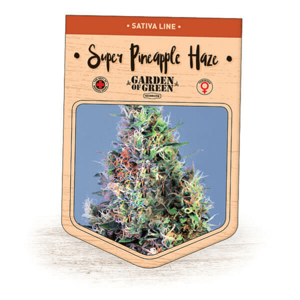 Super Pineapple Haze Seeds