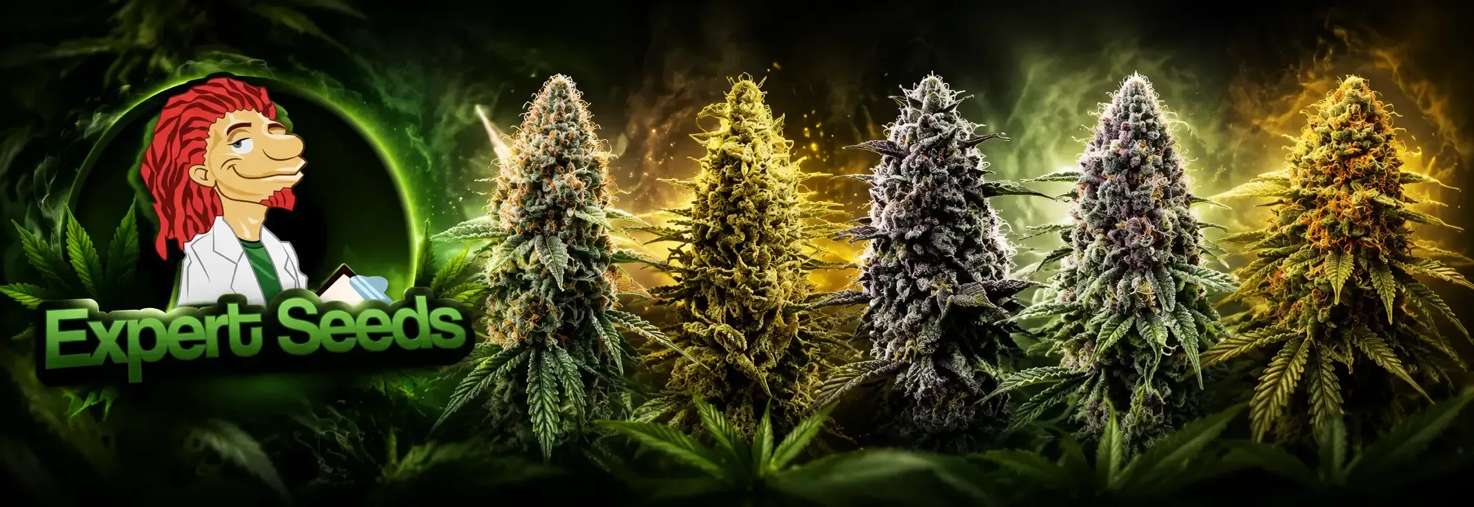 Expert-Seeds-1