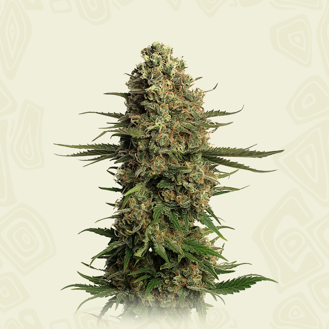 Skywalker Og