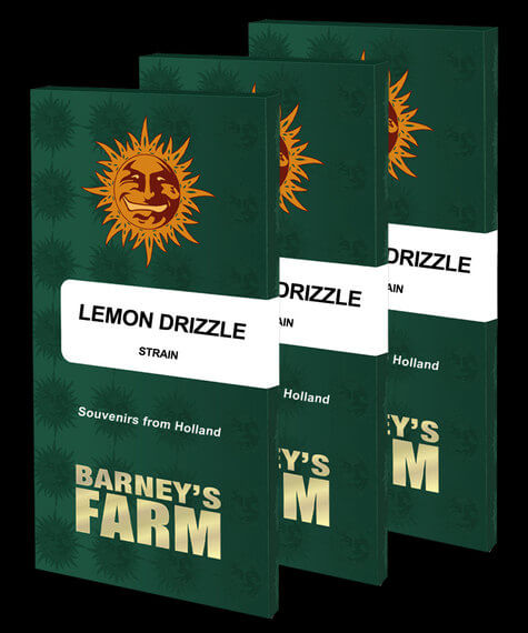 Barney's Farm Lemon Drizzle